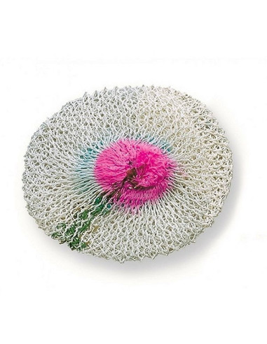 Reticella lampada gas HK1000