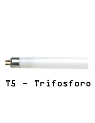 Tubo neon T5 14W luce fredda