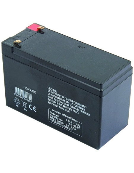 Batteria piombo 12V 7Ah