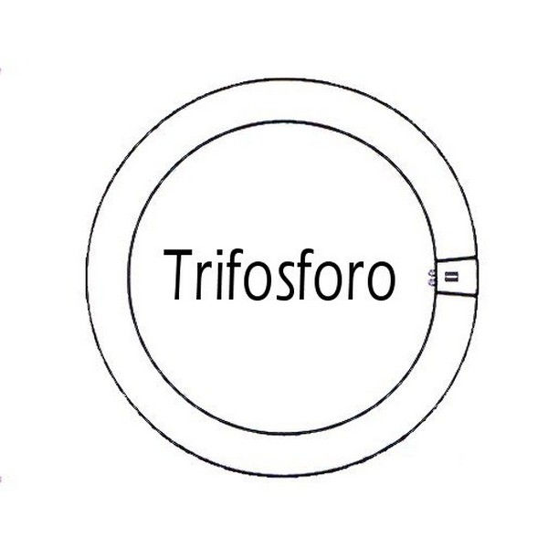 Circolina neon GQ10 22W luce fredda