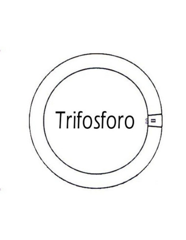 Circolina neon GQ10 40W luce fredda