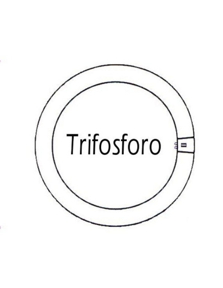Circolina neon GQ10 40W luce fredda