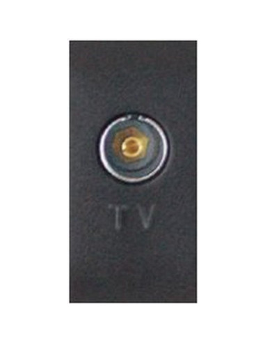Presa TV passante