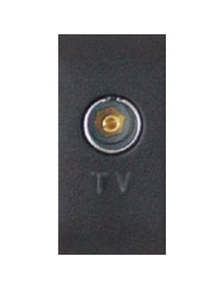Presa TV passante