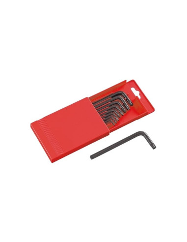 Chiavi maschio resistorx (9pz)