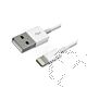 Cavo USB lunghezza 1m tipo A/Lightning